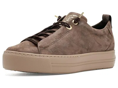 Paul Green Faye Sneakers Women's Shoes Earth Glossy Antic: At 3 (us Women's 5.5) M, Leather In Multi