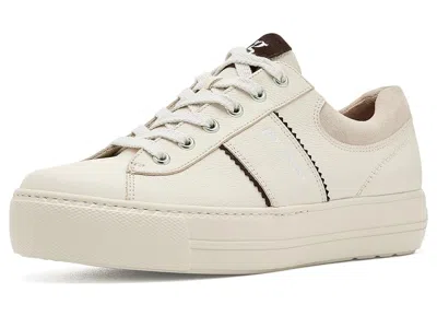 Paul Green Freddy Sneakers Women's Shoes Cream Choco Combo: At 5.5 (us Women's 8) M, Leather