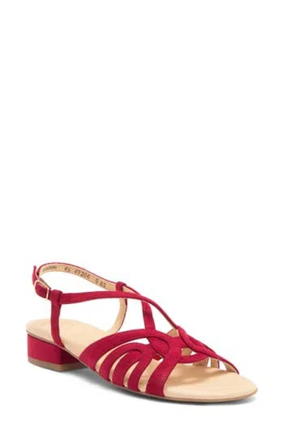 Paul Green Rumi Sandal In Cherry Velour