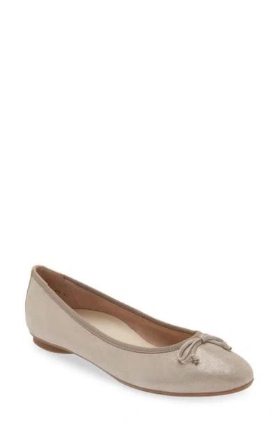 Paul Green Ursula Ballet Flat In Cashmere Suede Metallic