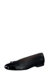 Paul Green Violet Ballet Flat In Black