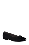 Paul Green Violet Ballet Flat In Black Suede Combo