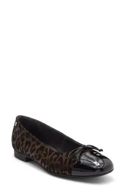 Paul Green Violet Ballet Flat In Multi