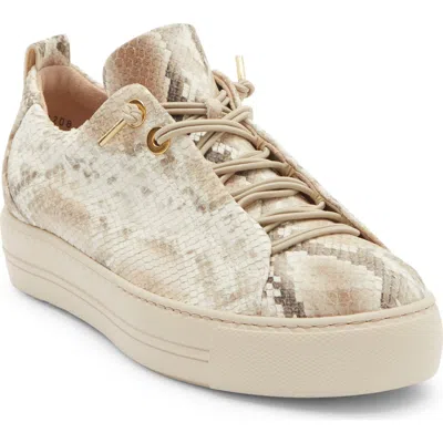 Paul Green Zena Leopard Print Platform Sneaker In Animal Print