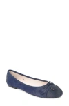 Paul Mayer Best Genuine Calf Hair Ballet Flat In Blue