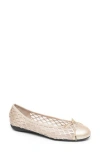 Paul Mayer Brandy Mesh Ballet Flat