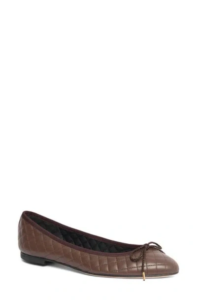 Paul Mayer Sequin Embellished Ballet Flat In Brown