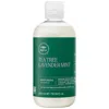 Paul Mitchell Tea Tree Lavender Mint Moisturising Conditioner 300ml
