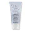 Paul Mitchell Travel Size Awapuhi Wild Ginger Hydrasoft Conditioner - 2.5 oz