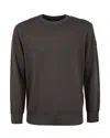 Paul & Shark Crewneck In Extrafine Merino Wool In Brown