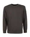 Paul & Shark Crewneck In Extrafine Merino Wool In Brown