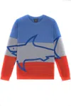 PAUL & SHARK PAUL & SHARK SWEATERS