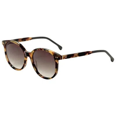 Paul Smith Finch Women's Sunglasses In Brown