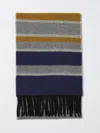 Paul Smith Scarf Men  In Brown