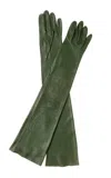 Paula Rowan Montserrat 12bt Long Leather Gloves In Dark Green