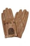 Paula Rowan Noel Perforated Leather Gloves In Taupe