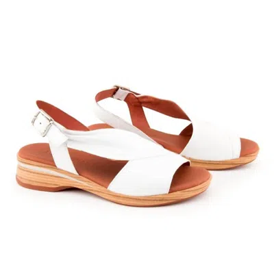 Paula Urban Women's Sunset Sandals In White
