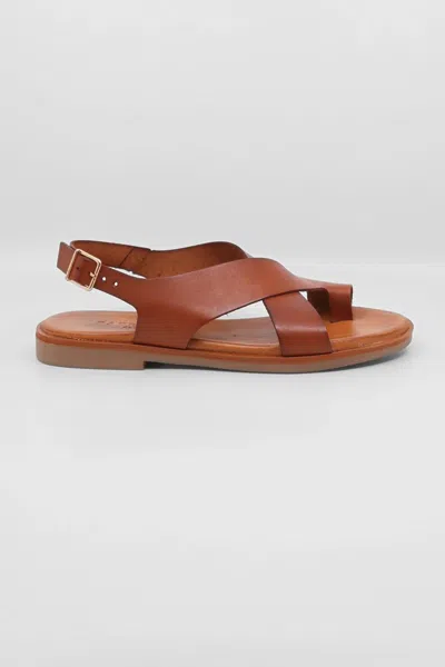 Pavement Women's Evy Sandal In Tan In Multi