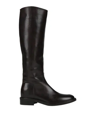 Pavin Woman Boot Dark Brown Size 6 Leather In Multi