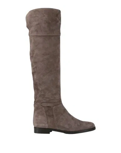 Pavin Woman Boot Grey Size 7 Leather In Multi
