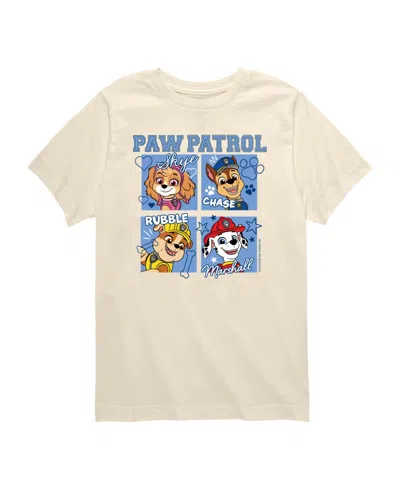Paw Patrol Babies' Boys' Toddler 2t-5t Graphic Short-sleeve T-shirt In Neutral