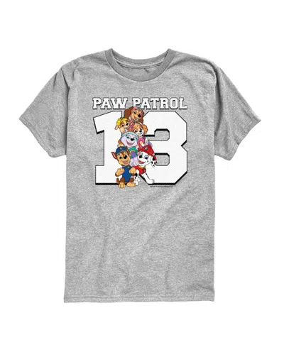 Paw Patrol Babies' Boys' Toddler 2t-5t  Graphic Short-sleeve T-shirt In Gray