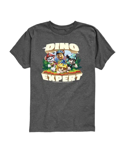 Paw Patrol Babies' The Movie Dino Expert Pups Toddler Boys' 2t-5t Short-sleeve Graphic T-shirt In Gray