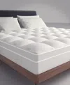 Payton Fluffy Soft Cotton Mattress Topper, Twin In White