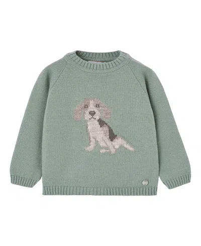 Paz Rodriguez Boys' Ledicia Pullover - Baby In Green