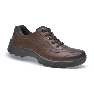 Pazstor Men's Oxfords Archer In Brown