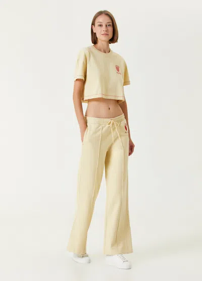 Pcfg Store Cotton Destroyed Sweat Pant - Chino Green In Yellow