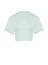 Pcfg Store Free Heaven Crop Tshirt