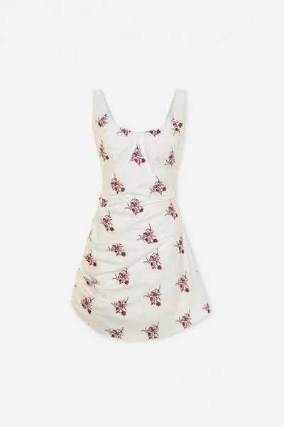 Pcfg The Broderie Anglaise Edit Asymmetric Embroidered Mini Dress In White