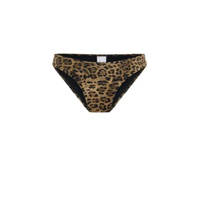 Pcfg Women's The Solar Reflections V-cut Bikini Bottom - Leopard In Brown