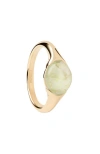 Pdpaola Bay Ring In Prehnite
