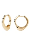 Pdpaola Riba Hoops In Gold
