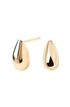 Pdpaola Sugar Earrings In Gold
