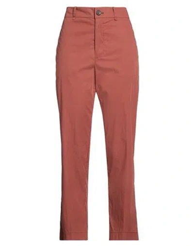 Pdr Phisique Du Role Woman Pants Tan Size 1 Cotton, Polyamide In Brown
