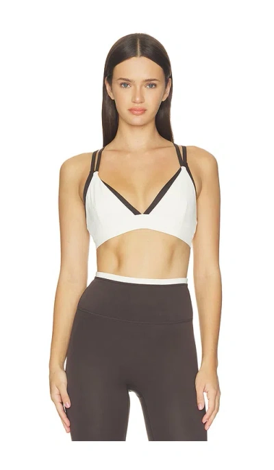 P.e Nation Activate Sports Bra In Coffee