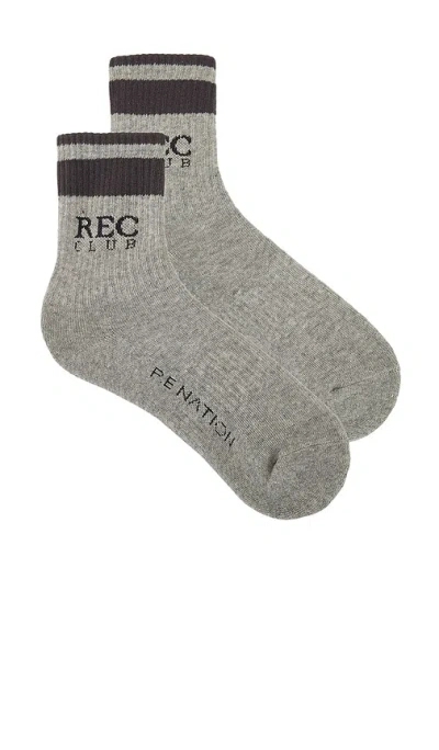 P.e Nation Archive Sock In Grey