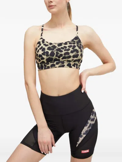 P.e Nation Fundamental Leopard-print Sports Bra In Black