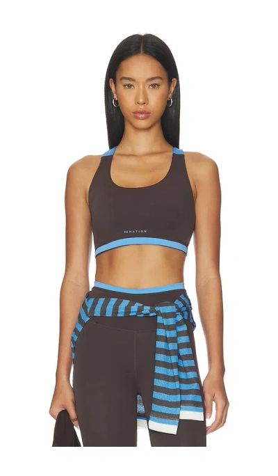 P.e Nation Highgate Sports Bra In Burgundy