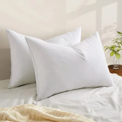 Peace Nest 233 Thread Count 100% Cotton Grey Goose Feather & Down Bed Pillows – Set Of 2 Fluffy & Supportive Ho In White