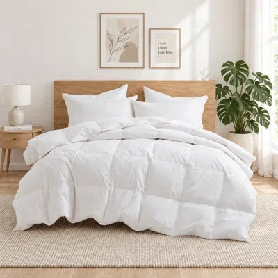 Peace Nest All Season Goose Feather Fiber Comforter With 100% Cotton Cover Duvet Insert In White