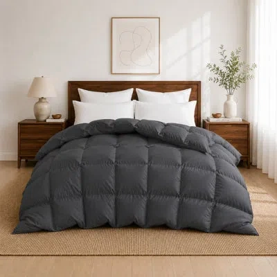 Peace Nest All Season White Feather Fiber And Down Fiber Comforter With Polyester Cover In Light Grey