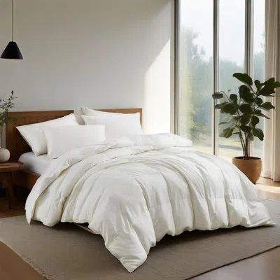 Peace Nest All-season Cloud Comforter In White