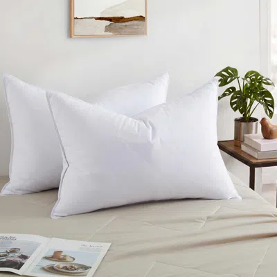 Peace Nest Double-line Diamond Quilted Gray Goose Feather Bed Pillows, Set Of 2 In White