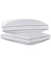 Peace Nest Feather & Down Blend Gusset 2pc Pillow Set