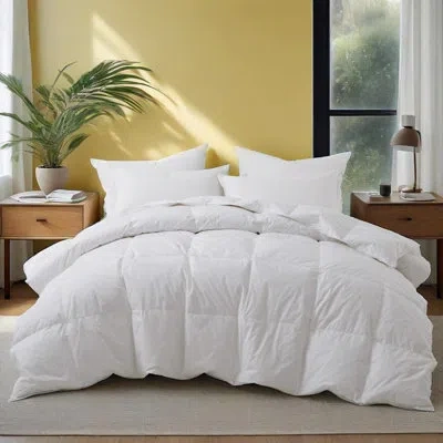 Peace Nest Goose Down Fiber  All Season Comforter In White