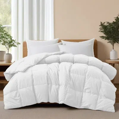 Peace Nest Goose Down Fiber All Season Comforter In White